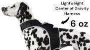 GPS Locator for Dogs with Perimeter Fence Realtime Pet Tracking System Size:XL
