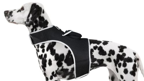 NEW Pet Tracker Portable Pet Tracking Best Dog GPS GSM Geo-Fencing Tracker Size:XS