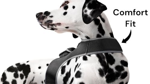 Waterproof Pet Tracking Dog Collar GPS Wireless Tracker Mini Locator Size:M