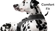 Pet Tracker GPS Tracking Collars for Dogs Waterproof Security Surveillance Size:XXL