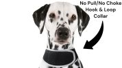 Inexpensive Dog Security Surveillance Pocket GPS Pets Tracking Device Size:XXL