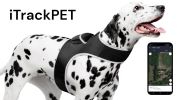 USB Rechargeable Pet Security Pocket GSM GPRS GPS Dog Tracking Device Size:XXL