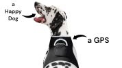 NEW Realtime Cat Dog GPS Tracker Portable Geo-Fencing Pet Tracking Sys Size:XXL