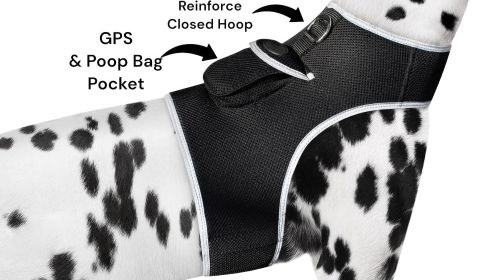 Inexpensive Less Maintenance GPS Tracker Dog Collar Rechargeable Tracking Gadget Size:M