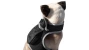 Dog Cat Security Monitoring Portable Mini GSM GPS Realtime Pet Tracker Size:S