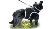 NEW Pet Tracker Portable Pet Tracking Best Dog GPS GSM Geo-Fencing Tracker Size:XXL