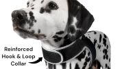 Mini Waterproof GPS Tracker for Dog Collar w/ Perimeter Fencing System Size:S