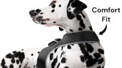 Pet Tracker Pocket GPS Dog Tracking Systems for Pet Security Surveillance Size:XL