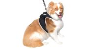 Realtime Surveillance Dog Tracker Pet GPS Tracking Cell Phone System Size:L