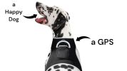 Dog/Cat Realtime Pet Tracking System Waterproof Pocket GSM GPS Tracker Size:XS