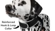 Remote Pet Surveillance Pet Tracker GPS Dog Trackers Collar Mounted Finder Size:L