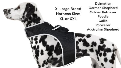 Effective GPS Dog Tracking Collar Mount Waterproof Device Rechargeable Size:XS