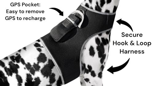 Waterproof GPS Tracker Dog Cat Rechargeable Locator with Battery Alert Size:L