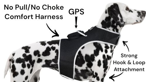 Small Realtime GPS Pet Tracker Waterproof Dog Collar Tracking Device Size:L
