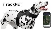 Easy to Use Mini Cell Phone GPS Pet Track Dog Cat Collar Mount Locator Size:L