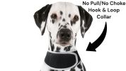 Sturdy Waterproof Dog Tracking Collar Tracker Portable Pet GPS FInder Size:L