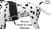 Rechargeable GPS Dog Collar Tracker w/ Live/SMS-Based Tracking System Size:L