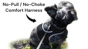 Pet Tracker GPS Tracking Collars for Dogs Waterproof Security Surveillance Size:XXL