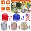 Pet Mesh Harness Dog Leash Set Reflective Chest Strap Adjustable Puppy Vest For Puppies Breeds Dogs Walking Outdoor