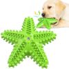 Dog Toy Molar Stick Leaking Food Dog Toothbrush
